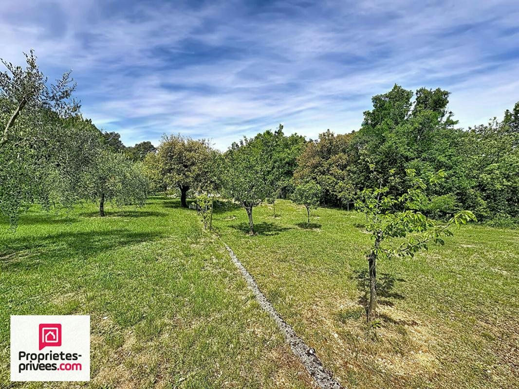 Traditional Villa with Pool and Olive Grove - 3