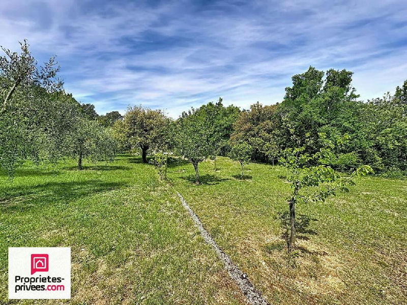 Traditional Villa with Pool and Olive Grove - 3