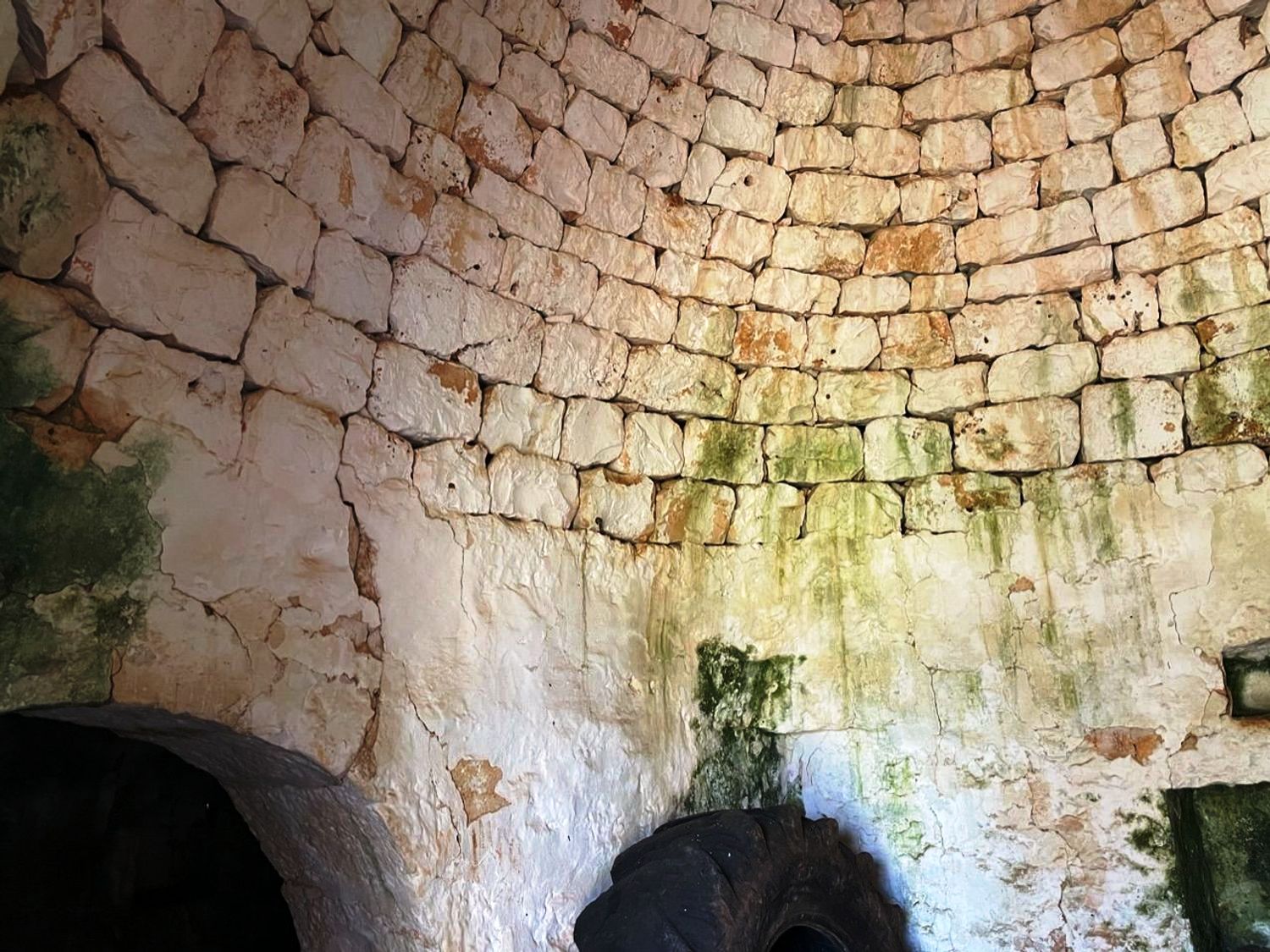 Trullo to restore in the Ostuni countryside - 2