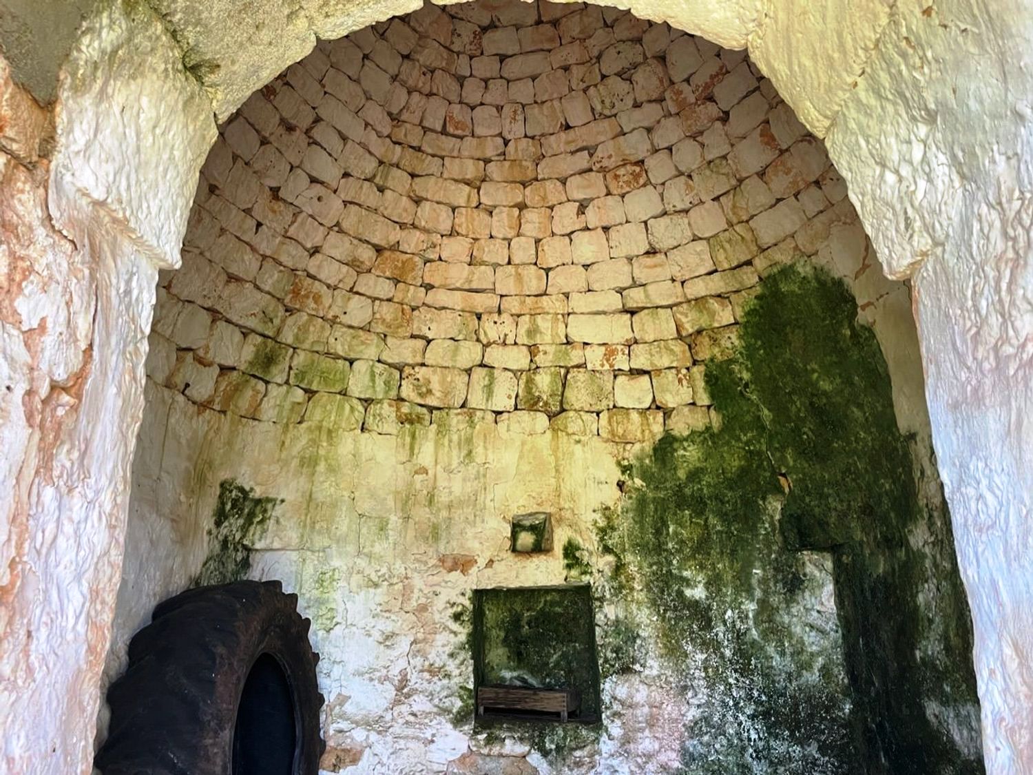 Trullo to restore in the Ostuni countryside - 3