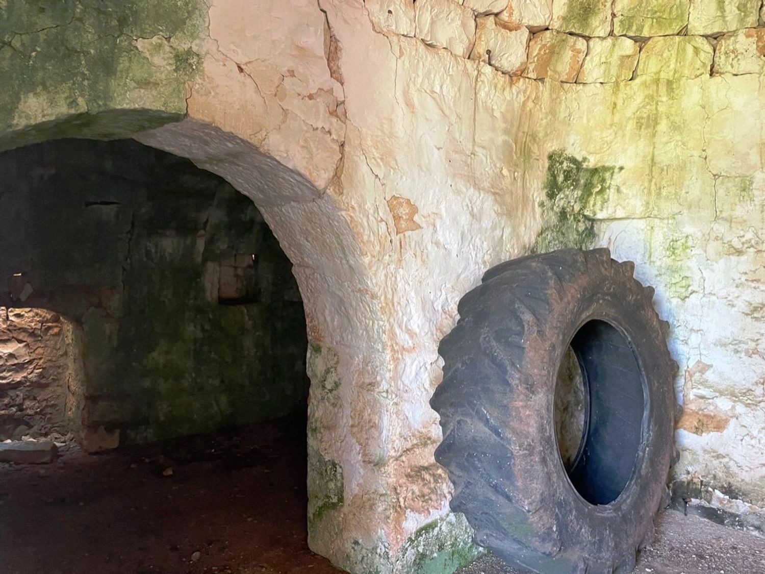 Trullo to restore in the Ostuni countryside - 4