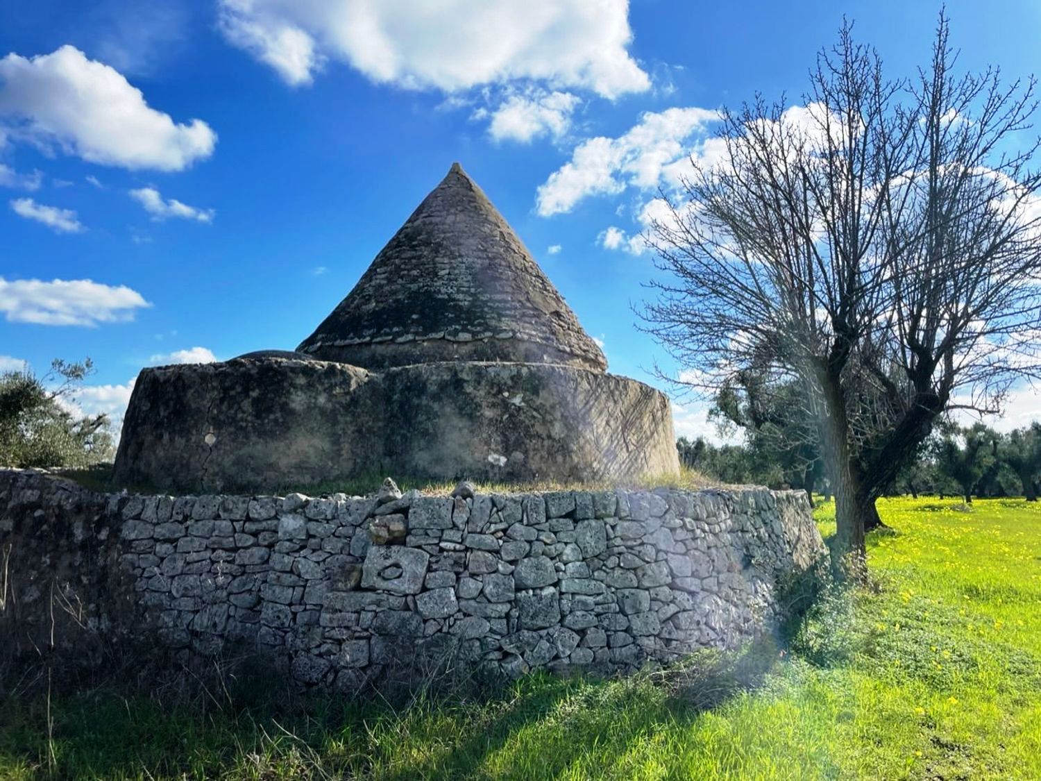 Trullo to restore in the Ostuni countryside - 5