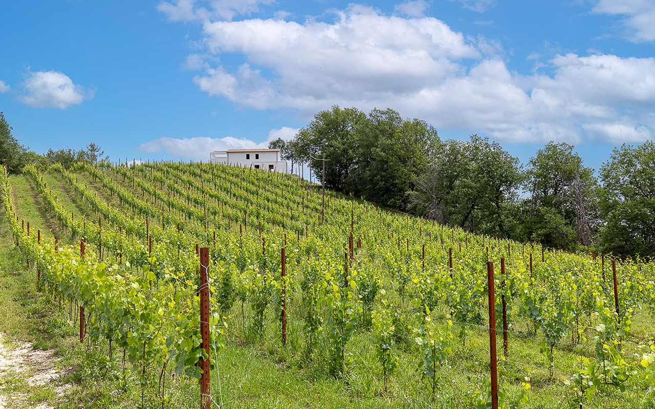 Casale il Pinnacolo - 5