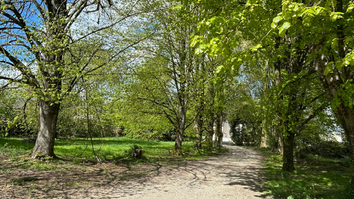 A rare chance to own a historic 15th-Century listed manoir surrounded by woodland in the heart of La - 3