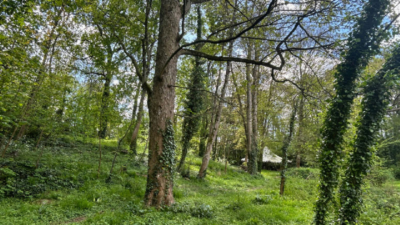 A rare chance to own a historic 15th-Century listed manoir surrounded by woodland in the heart of La - 4