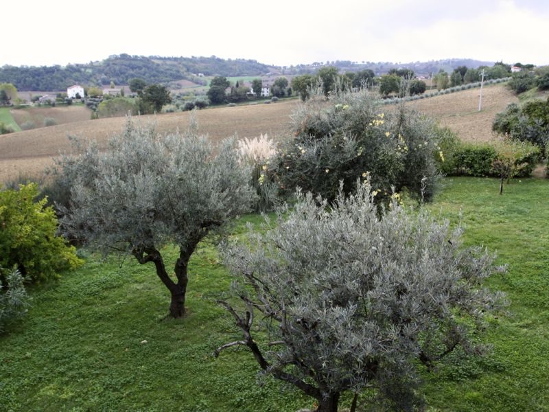 Recently restored complex of a total of circa 430 m2 - 2