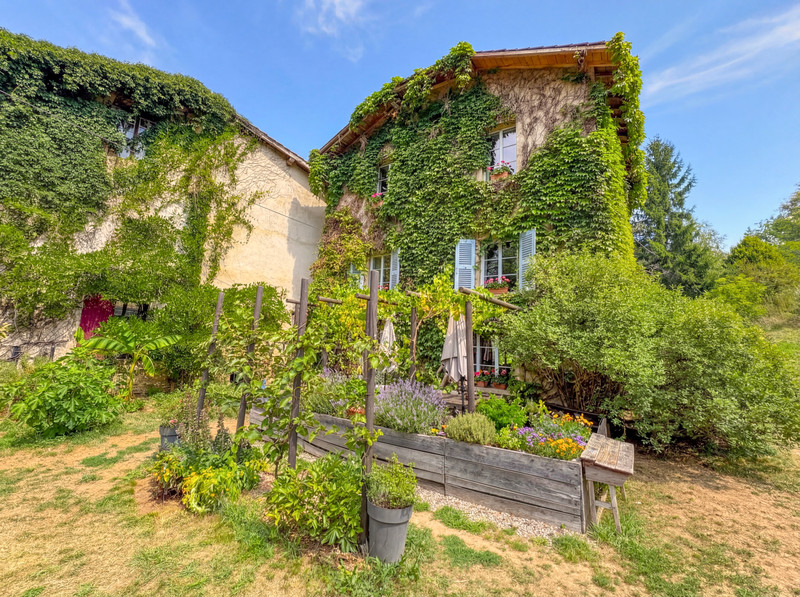 Renovated Watermill in 2 ha surrounded by Nature - 4