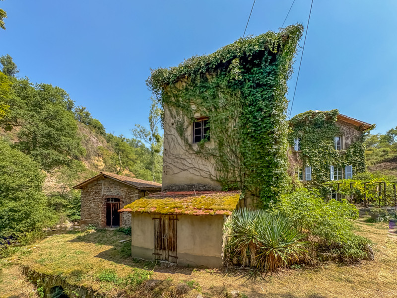 Renovated Watermill in 2 ha surrounded by Nature - 5