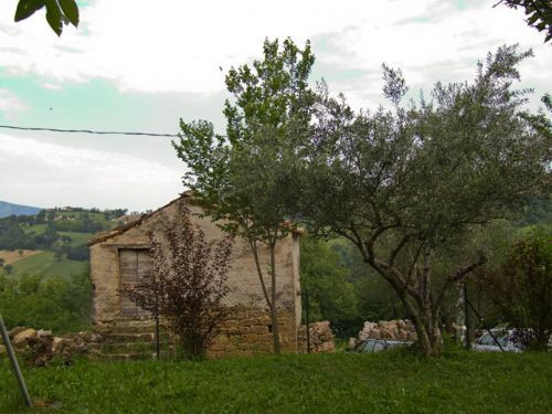 Charming and typical Marchigiani Farmhouse - 5