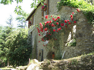 Nice former mill 16 km from the sea, nearby small village - 2