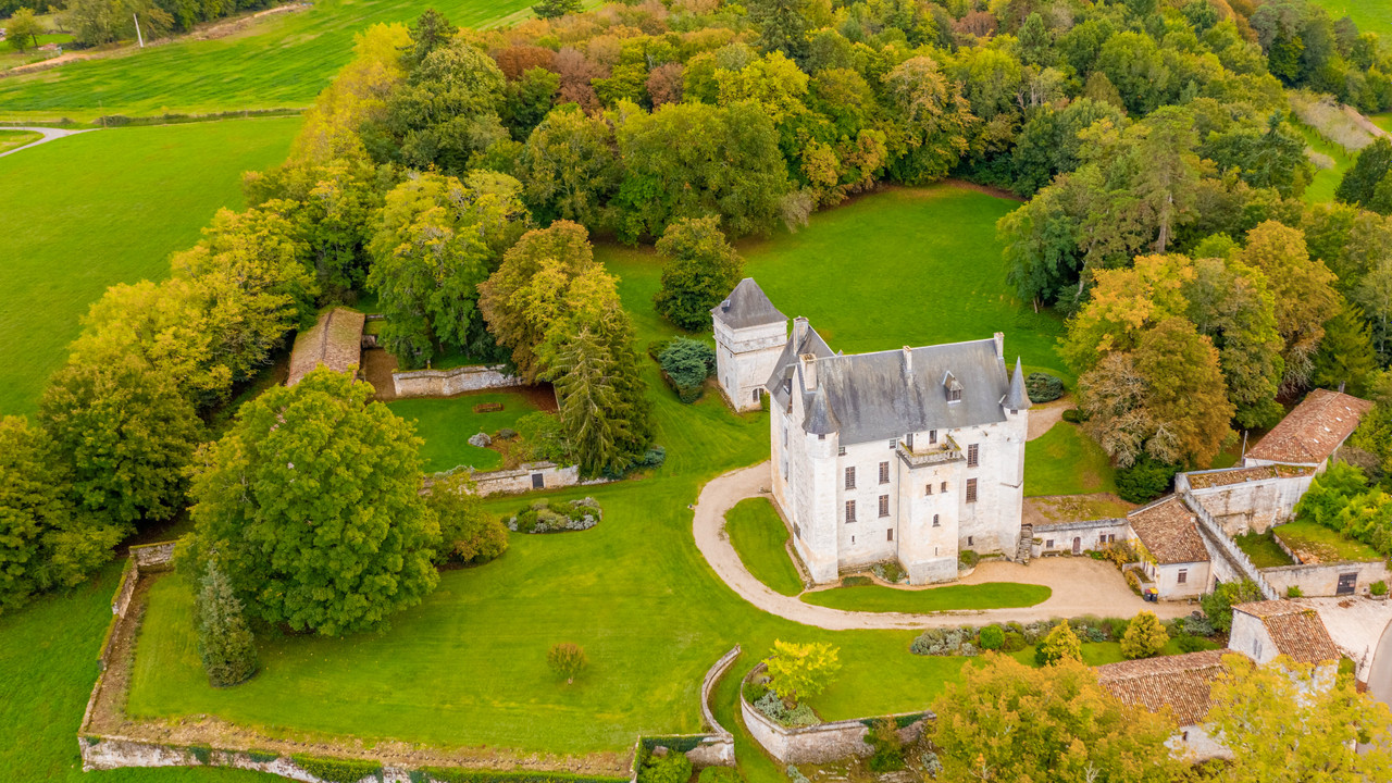 Grand Château, from the XV, to XVII c in 56 ha