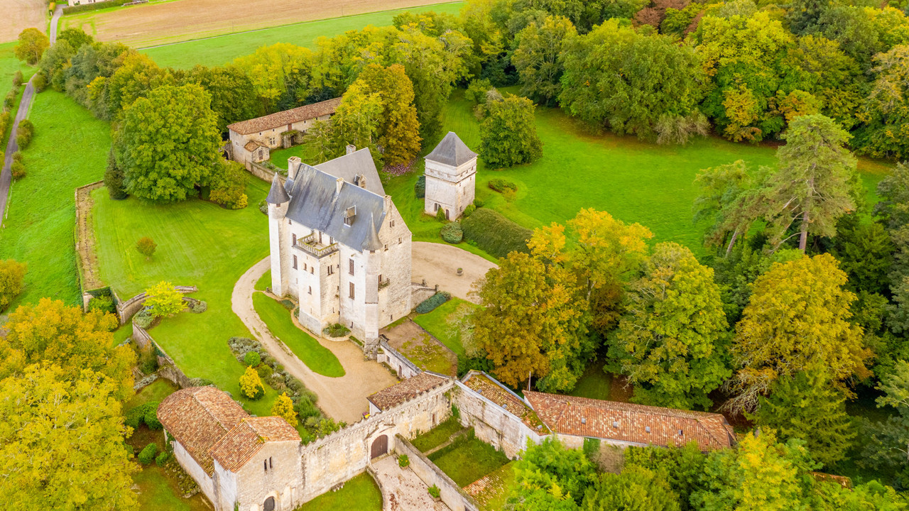 Grand Château, from the XV, to XVII c in 56 ha - 3