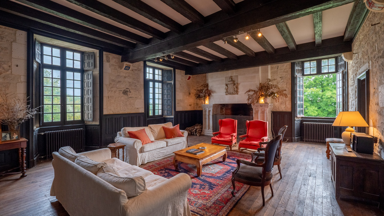 Grand Château, from the XV, to XVII c in 56 ha - 5