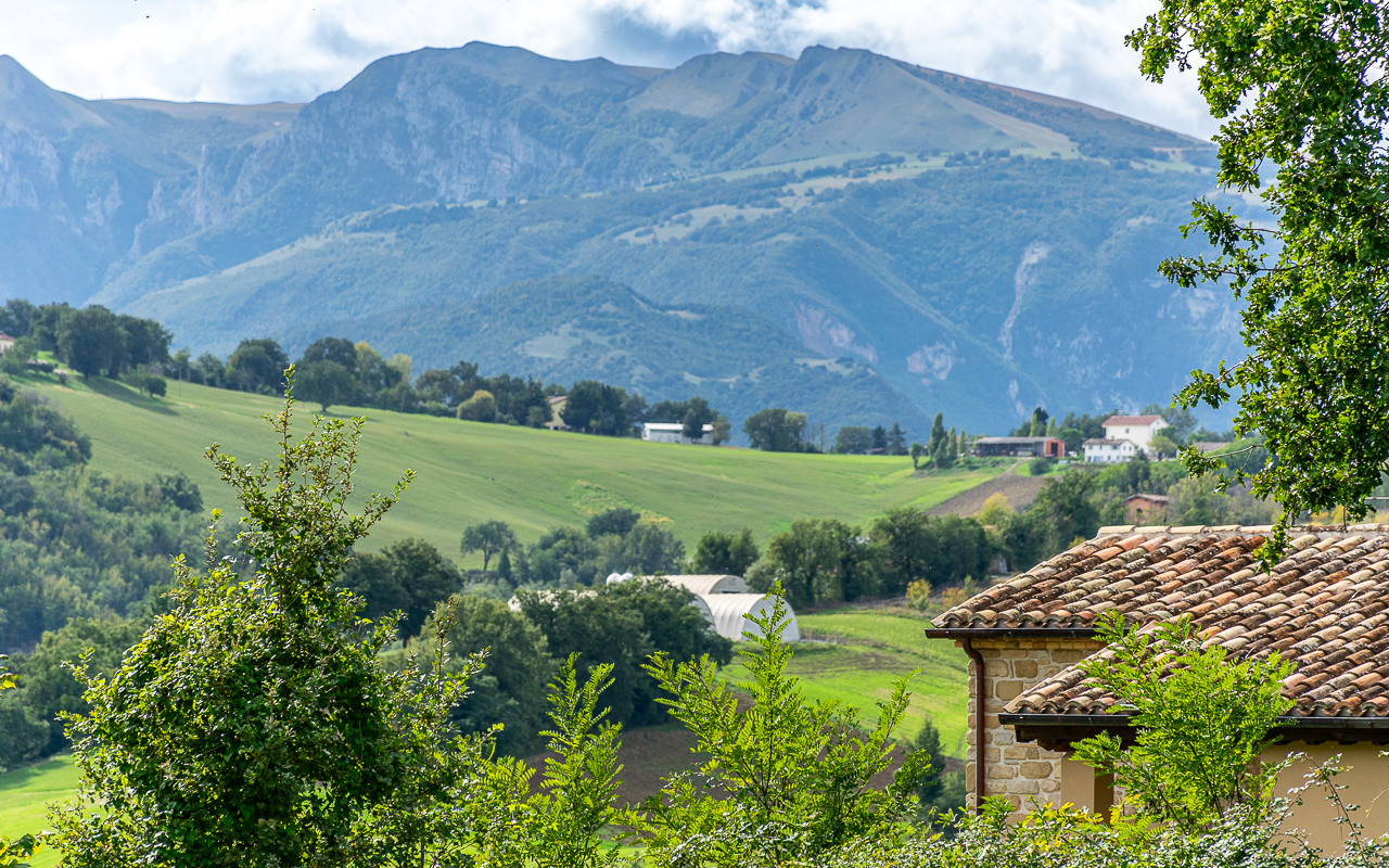 Nestled in the serene Italian countryside of Le Marche, this meticulously reconstructed farmhouse offers a harmonious blend of traditional charm and modern resilience - 3