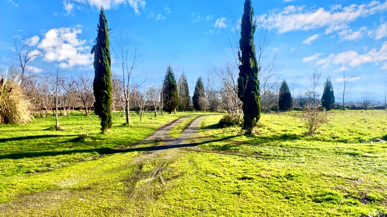 18C Manor for sale in 4 ha. Gers - 2