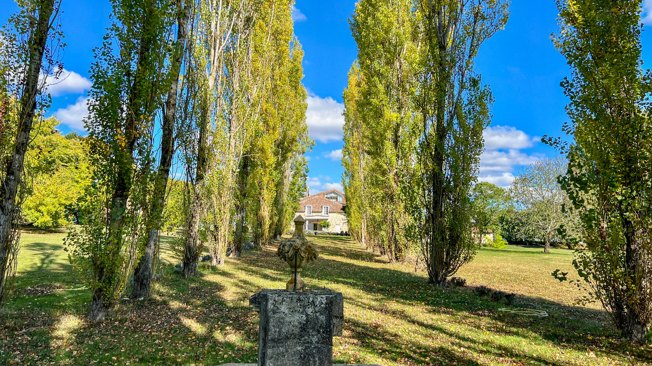 Magnificent Renovated Stone Maison Bourgeoise on 4.2ha with Pool—Elegant Calm Countryside Retreat - 3