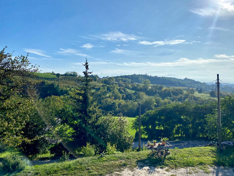 Complete agriturismo with professional kitchen and restaurant - 4