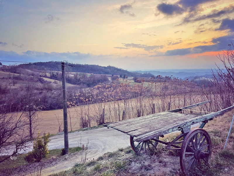 Complete agriturismo with professional kitchen and restaurant - 5