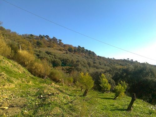 Villa for sale in basic construction in a zone of natural beauty - 3