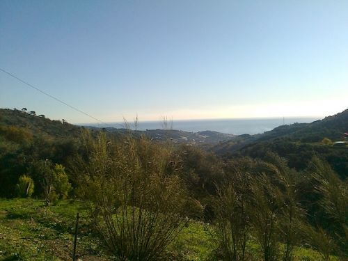 Villa for sale in basic construction in a zone of natural beauty - 4