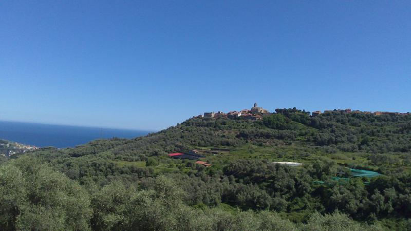 Villa for sale in basic construction in a zone of natural beauty - 5