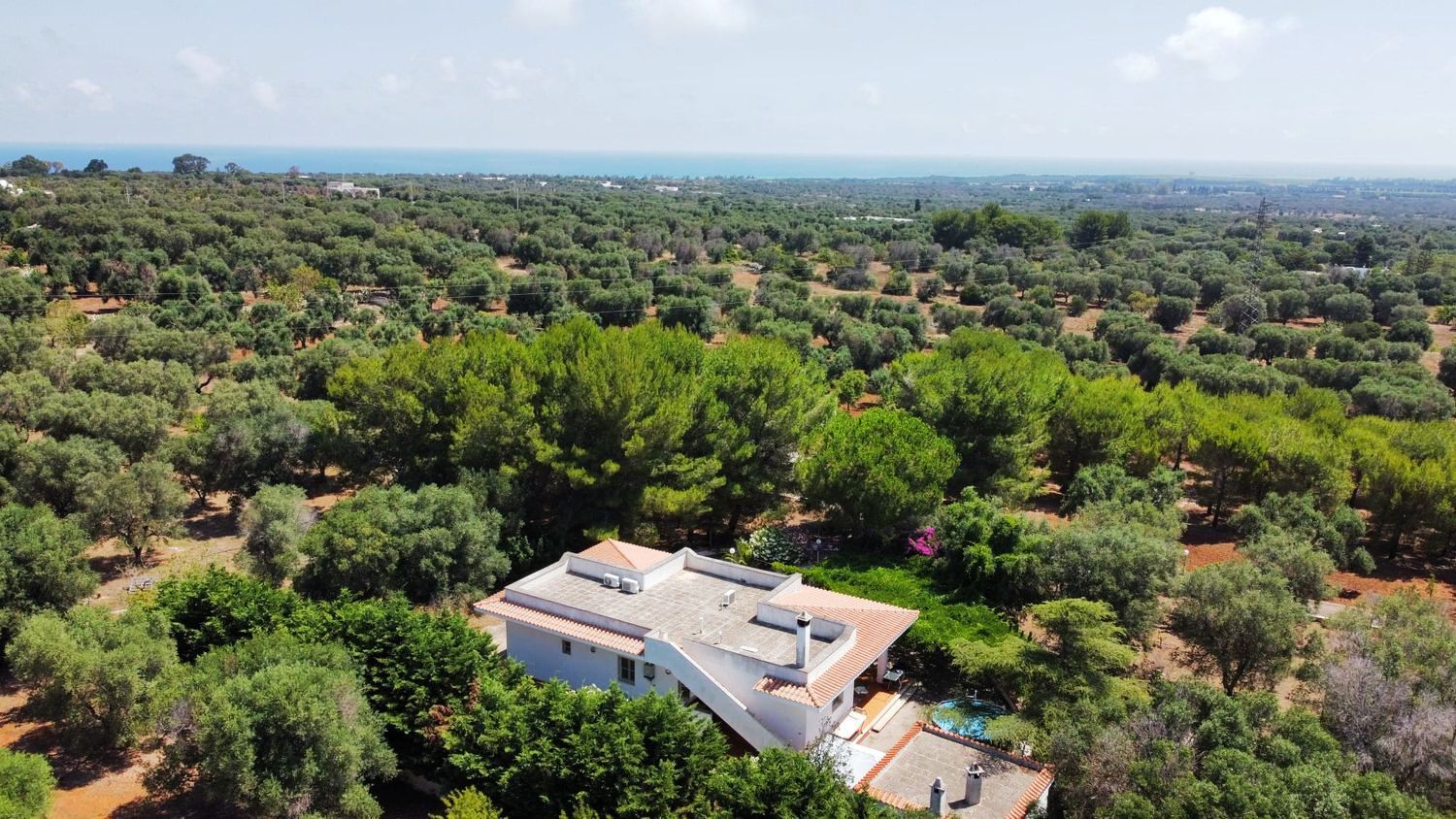 Villa with swimming pool in the countryside of Carovigno