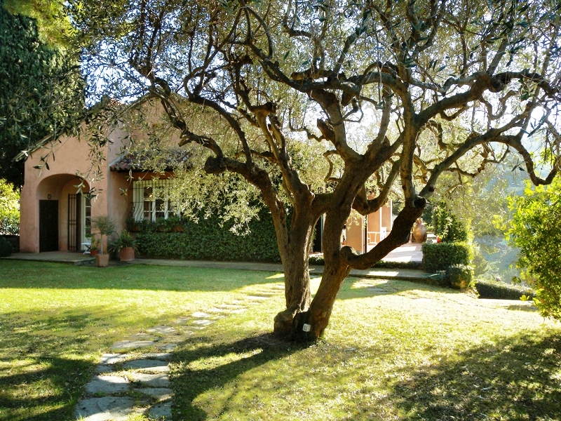 Villa Veronica – charming house with swimming pool and stunning views of the sea and the city - 5