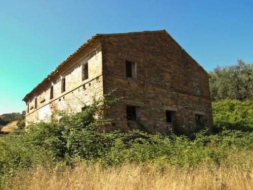 Casa Chifenti a classical farmhouse - 3