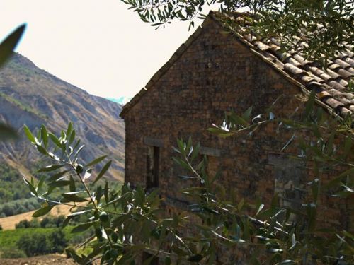 Casa Chifenti a classical farmhouse - 5