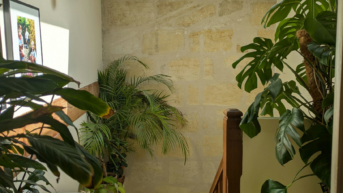 Bordeaux Chartrons – Elegant Renovated Double Échoppe - 6
