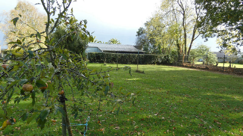 Elegant stone property with pool & outbuildings, quiet location close to Paimpol & 15km from beautiful beaches - 5